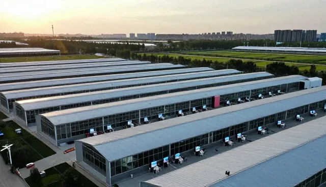 网络环境下网络推广价值不断提升